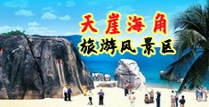 大鸡吧c左嘉兴海南三亚-天崖海角旅游风景区