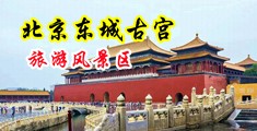 3p色色视频中国北京-东城古宫旅游风景区